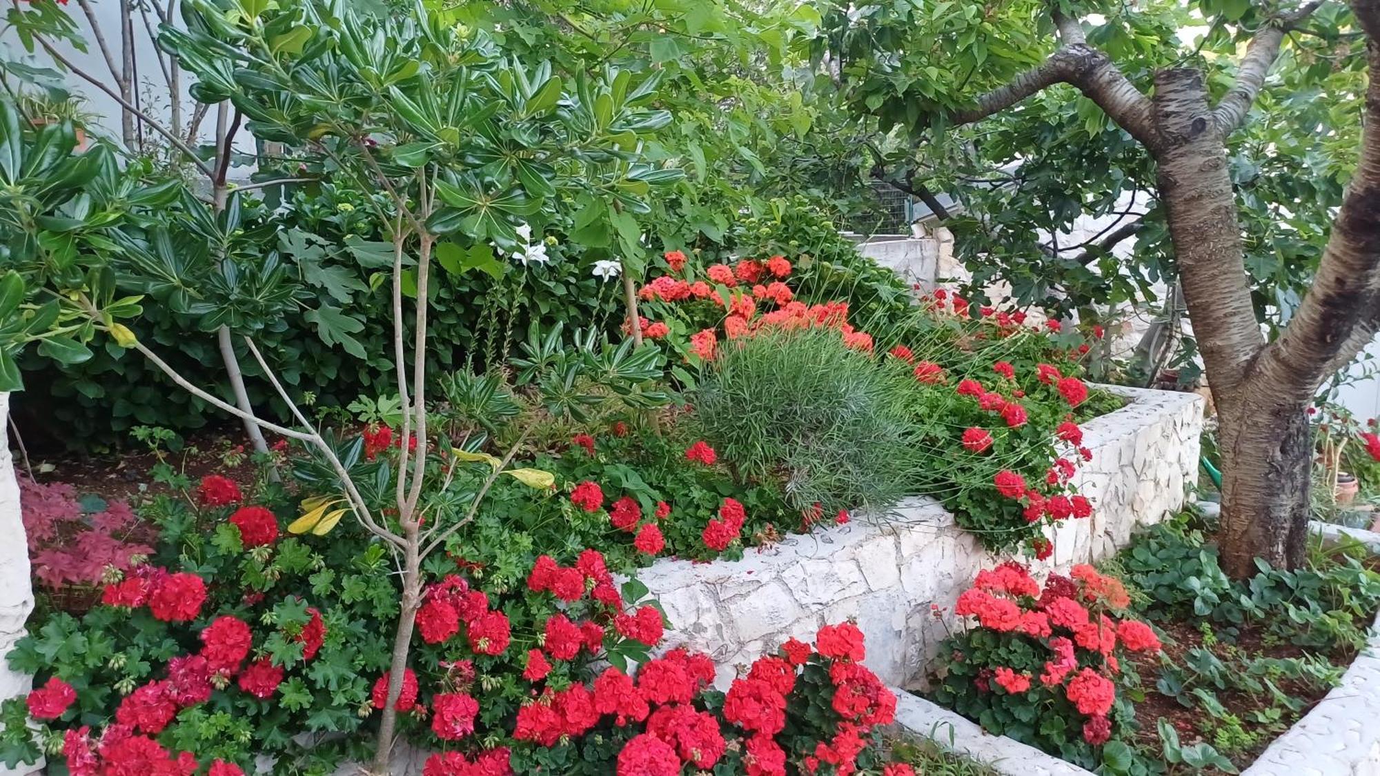 Apartments Jaksic Trogir Exterior photo